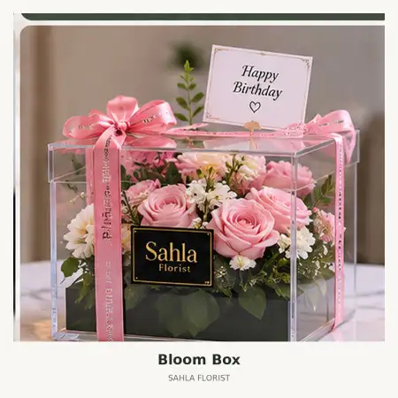 Bloom Box Renon